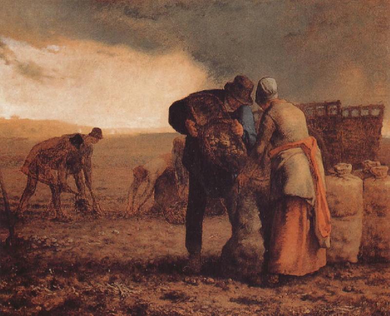 Harvest, Jean Francois Millet